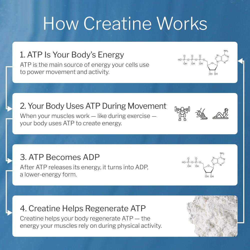 Creatine - Image 5