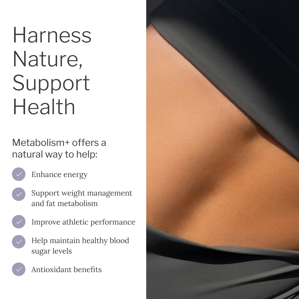 Metabolism+ - Image 4